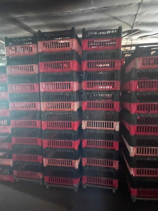 klatka klatki skrzynka do transportu drobiu , ptaków