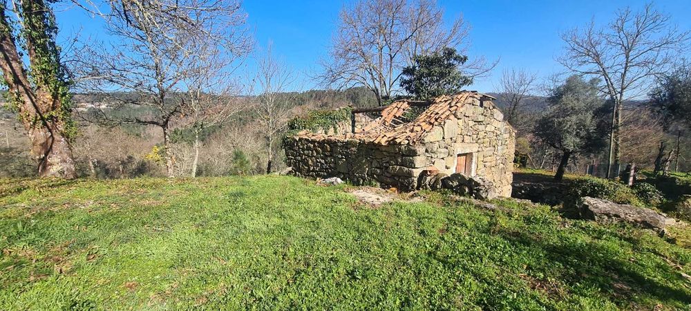 Terreno com Ruínas e Grande Potencial — Próximo Termas de S. Pedro Sul