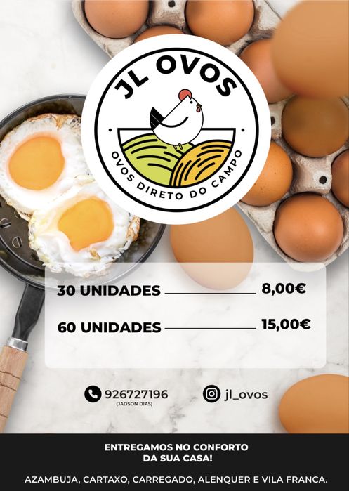 Cartões de 30 ovos grande tipo L