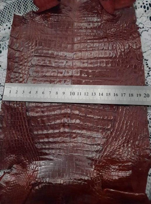 Кожа крокодила длина 70--80см