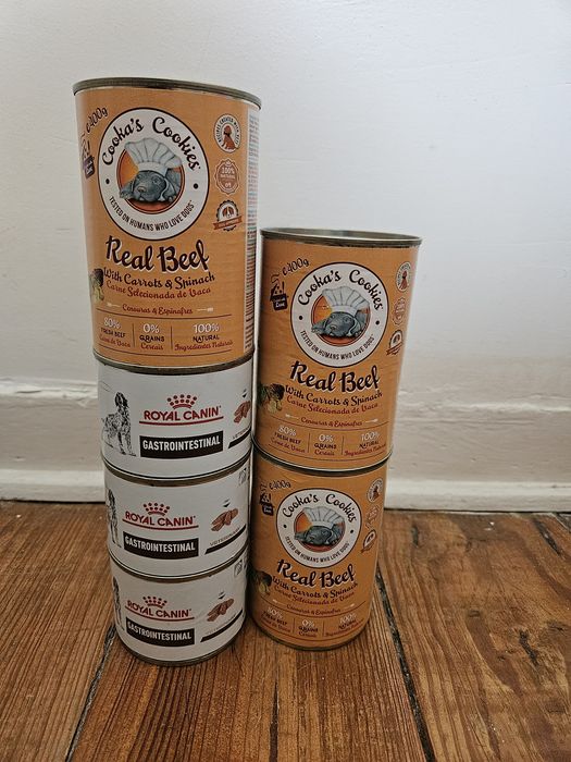 6 latas (royal canin & Real Beef)