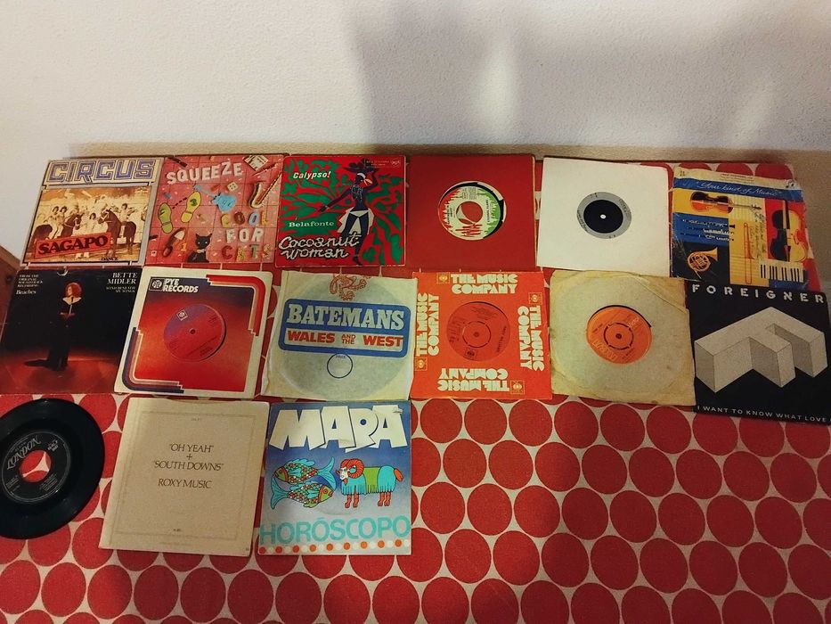 Lotes de discos vinil, singles e cd