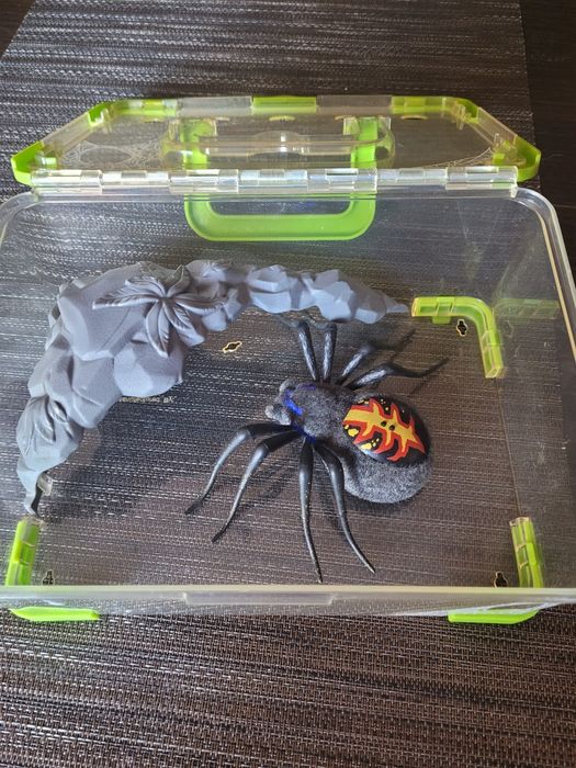 Zabawka Pająk  Tarantula w Terarium.