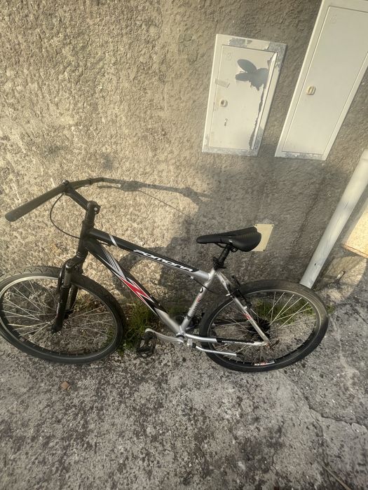 Bicicleta pomona