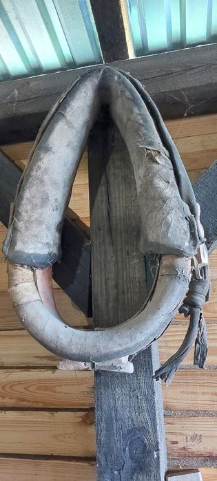 Małe stare homonto ozdoba