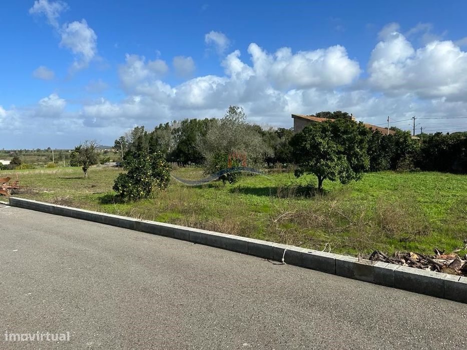 Terreno - Monte Real — Monte Real E Carvide, Leiria