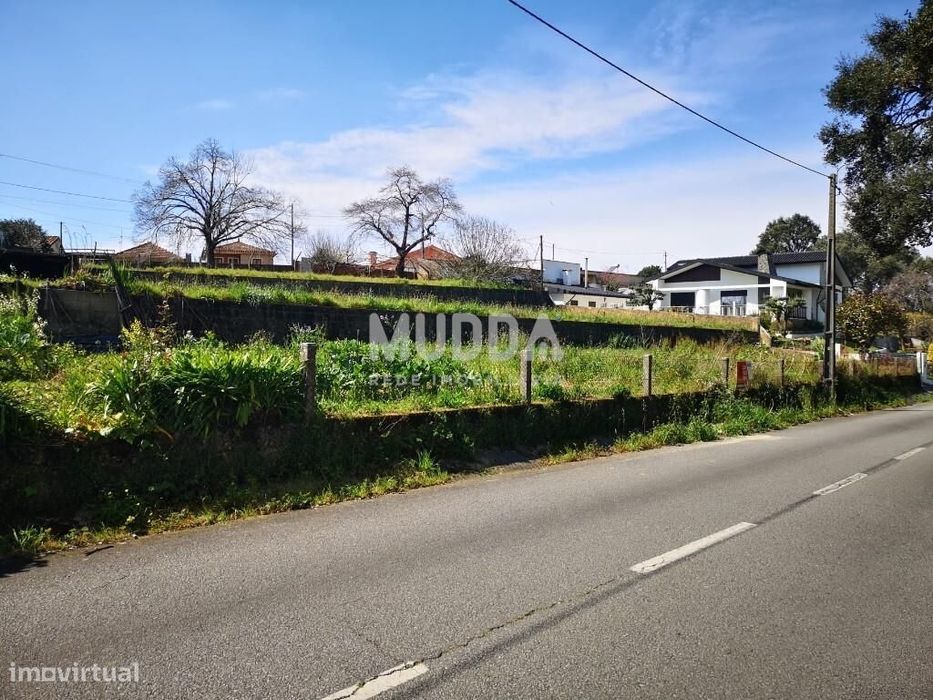 Terreno C/ 35m de Frente Com Viabilidade de Construção — Pinheiro Da Bemposta, Travanca E Palmaz, Aveiro