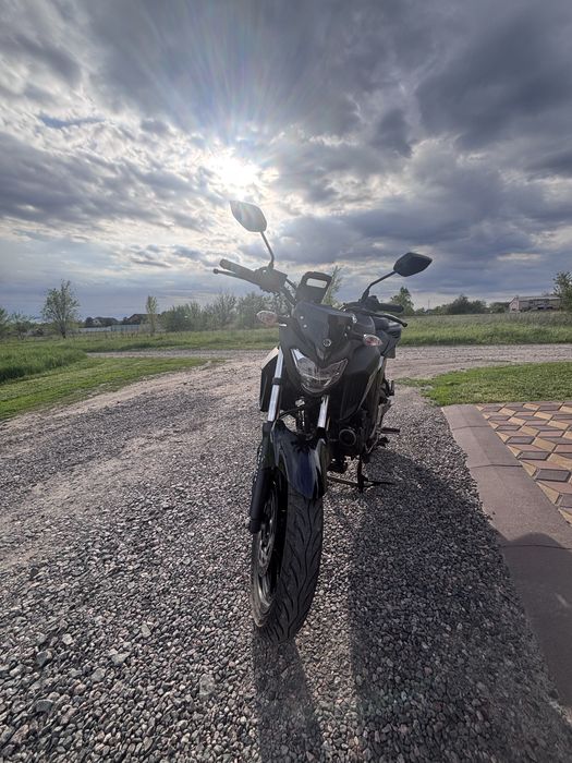 Yamaha fz25 2024
