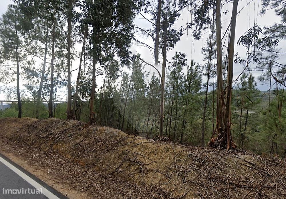 Terreno  para venda