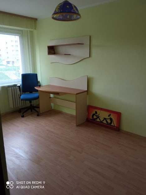 Pokój do wynajęcia
