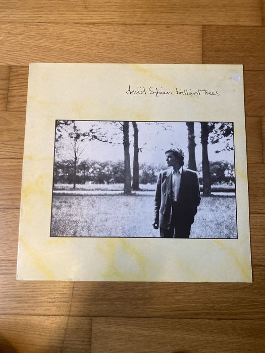 David Sylvian - Brilliant Trees Winyl/LP