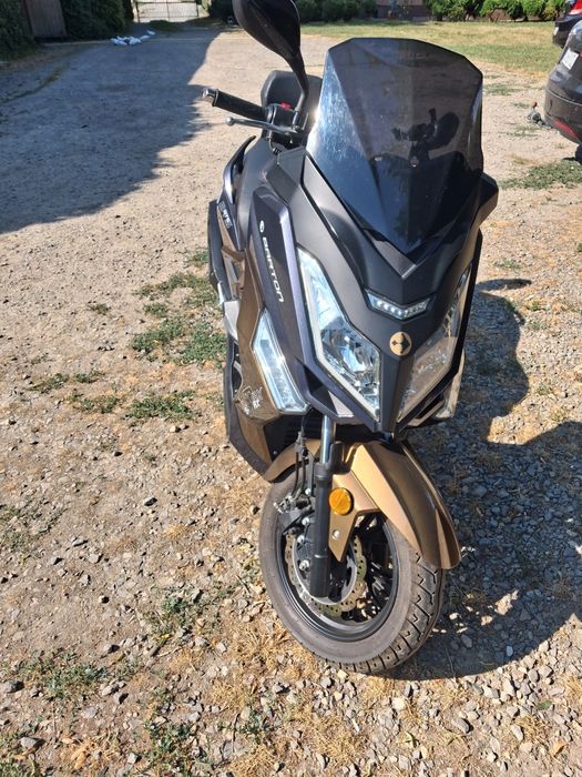 Barton.  B.  MAX  125