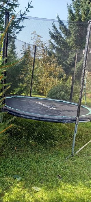 Trampolina Zippo Fitness