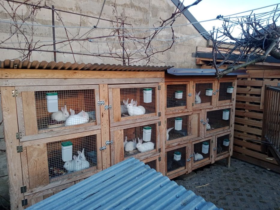 Klatki , klatka na króliki