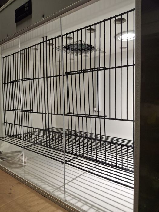 Enfermaria e secagem de aves