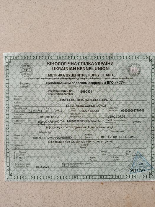 Німецька вівчарка