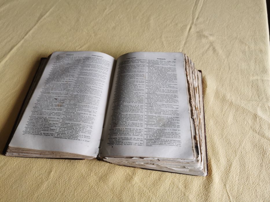 Dicionário etymologico da língua Portuguesa. Sec.XIXxix