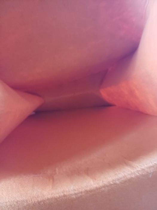 Wiewiór wiewiórka kosz na zabawki pudelko do przechwwywania