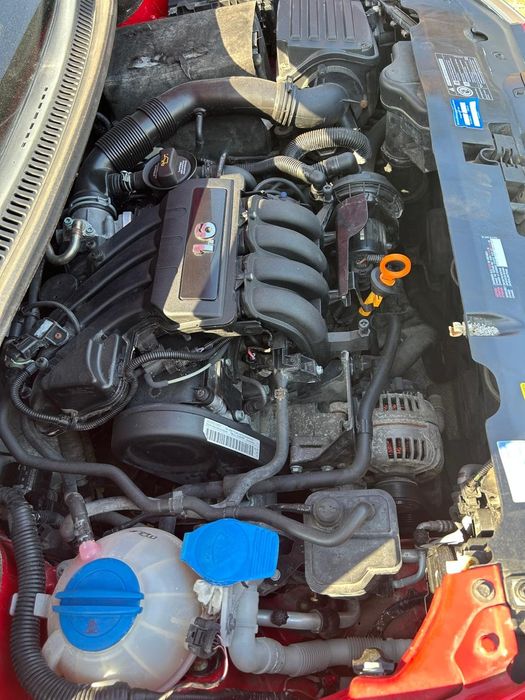 Сеат Альтеа  власниця