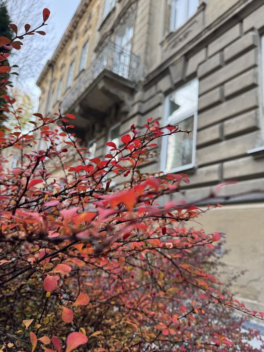 Многокомнатная квартира по адресу Верхратского И. Ул. (площадь 108 м²) - Atlanta.ua - фото 15