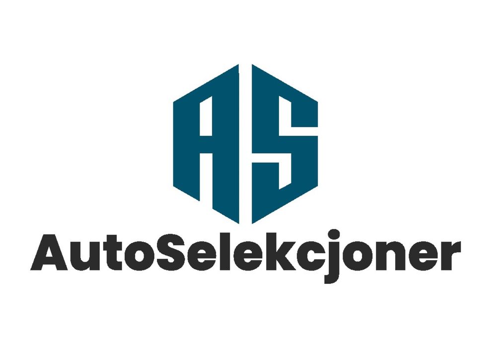 Sprawdzenie samochodu przed zakupem - AutoSelekcjoner