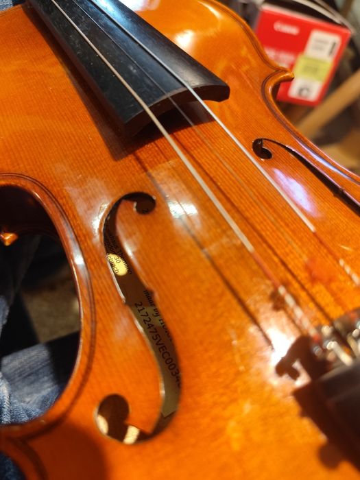 Skrzypce Roth & Junius z futerałem 1/2