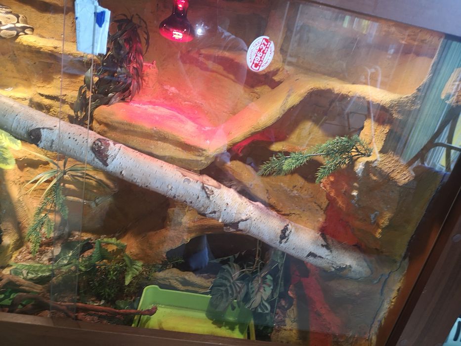 Terrarium