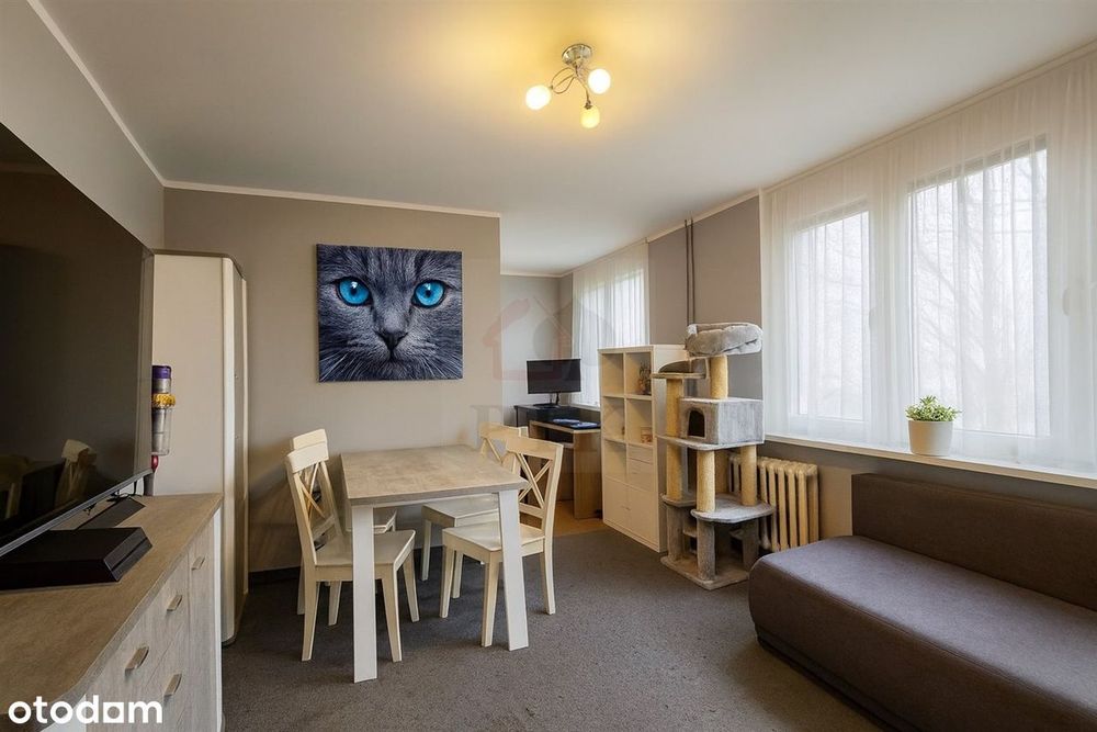 Przytulne 3pokojowe, Koszutka ul Grabowa, po termomodernizacji - View 5