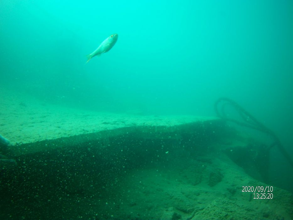 Услуги водолаза. Водолазні послуги. Водолаз дайвер ныряльщик.