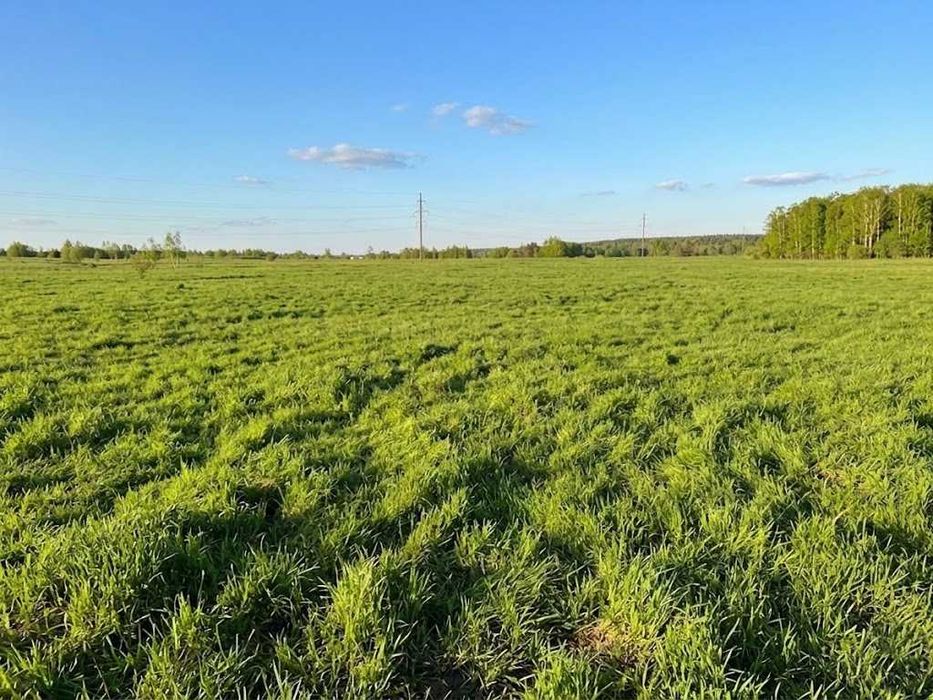 Продаж земельної ділянки 1,5982 га у Мироцькому !