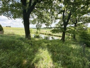 Dom – Polkowskie - Widok 5