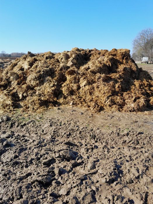 Obornik bydlecy sprzedsprzedam