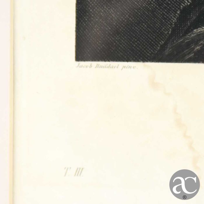 Gravura “Quadro di Giacomo Ruifdael”, emoldurada, 1865