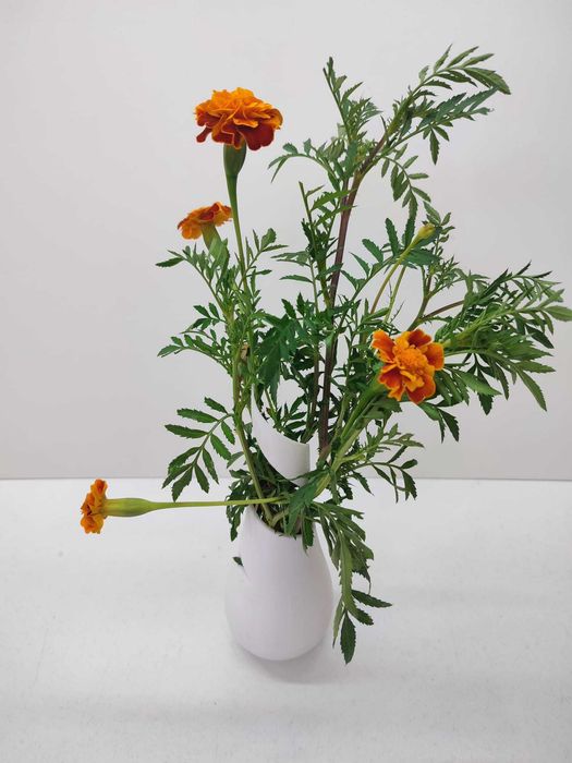 Vaso Branco em Espiral para Flores