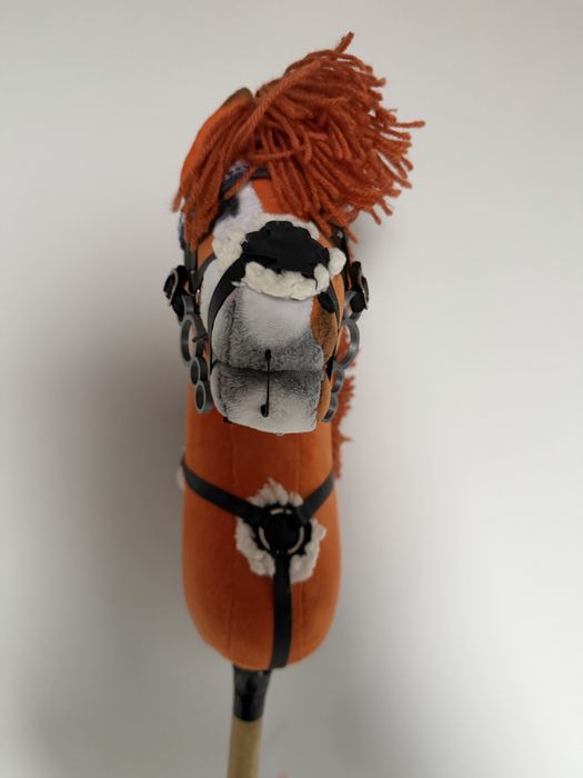 Hobby horse z piekną odmianką