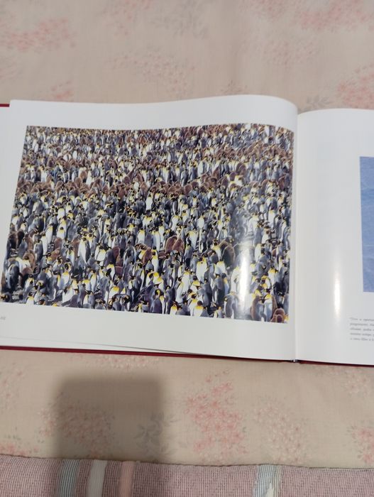 Livro Celebração dos Mares