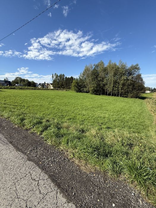 Działka usługowo-budowlana 20,65 ara | Bulowice | własny lasek | droga asfaltowa | doskonała lokalizacja - Widok 3