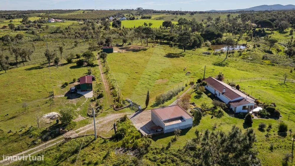Country Estate for Horse Enthusiasts