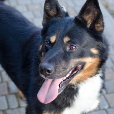 Lukas szuka kochającego domu