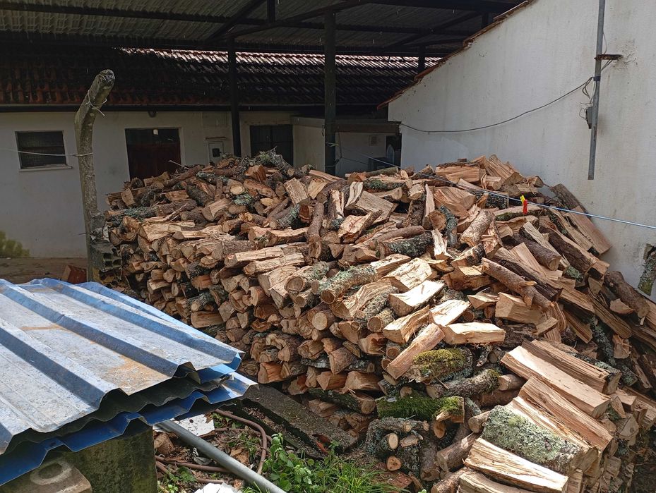 Vendo este monte de lenha toda junta