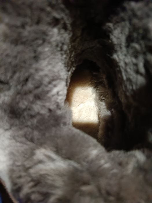 UGG Australia ( натуральная овчина  )