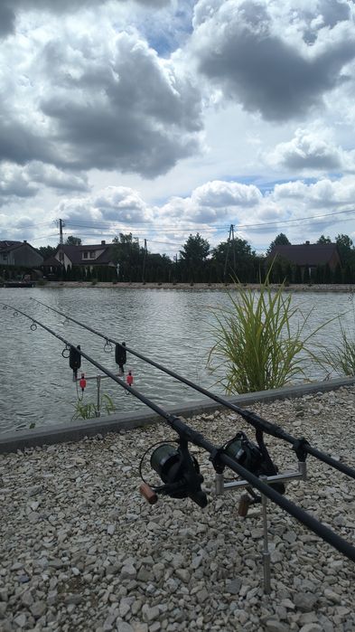 Hangery karpiowe
