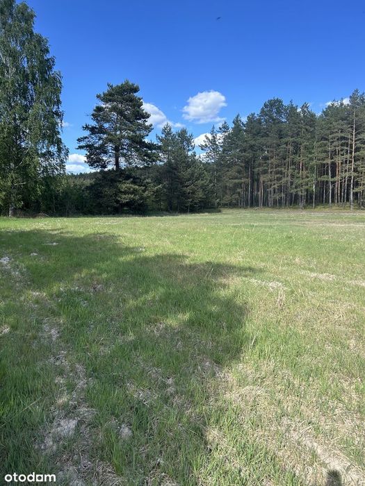Sprzedam działki Zalesie gmina Cekcyn powiat tucholski
