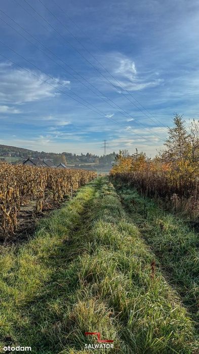 Działka 24,5 ar Żbik Krzeszowice