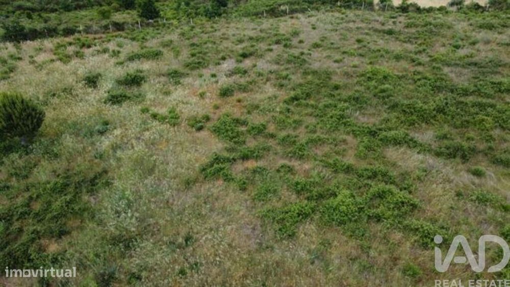 Terreno para construção em Seixo da Beira de 48000,00 m2