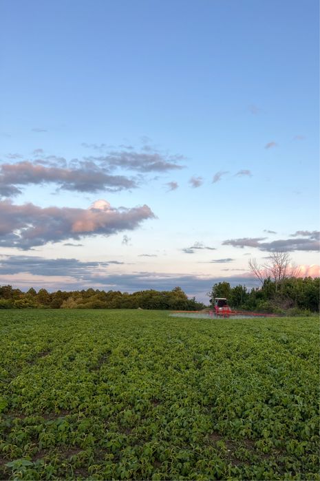 Аренда земельної ділянки