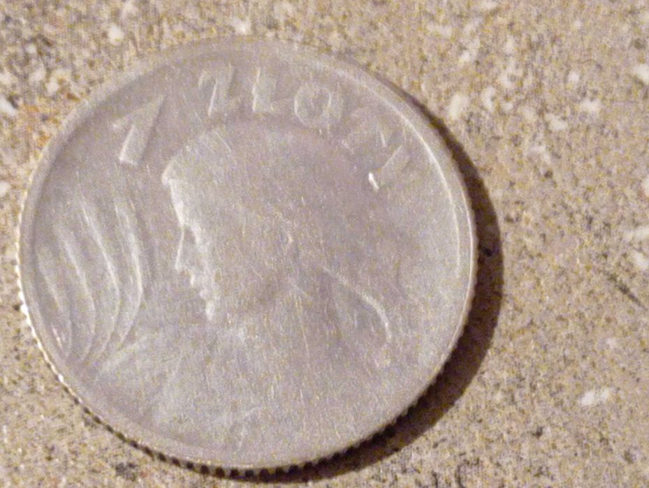 porządki domowe srebrna moneta