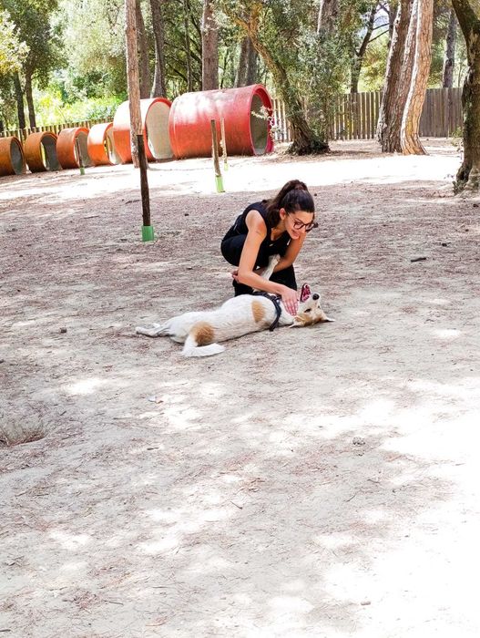 PET SITTER/WALKER em Lisboa: Cuidado Gentil e Focado no Bem-Estar