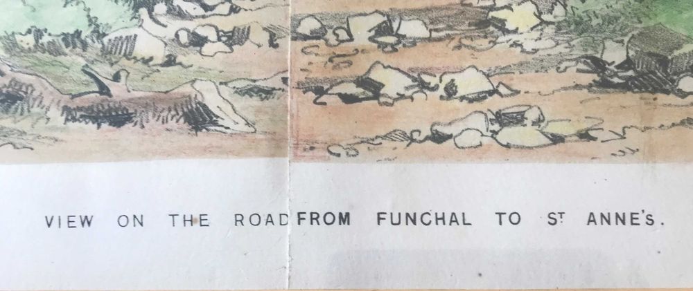 A sensibilidade feminina, numa Obra de Arte sobre a Madeira.