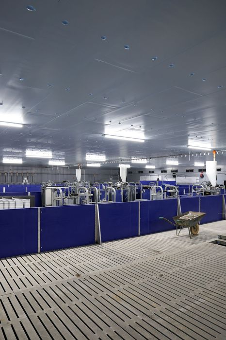Izolacja Tuczarni Podsufitka Podbitka Sufit Strop Styrodur XPS AGRO